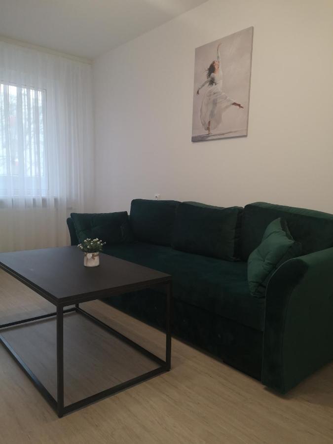 Parko Apartamentai Паневежис Екстер'єр фото